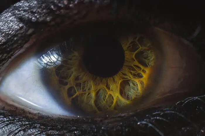 The Eyes